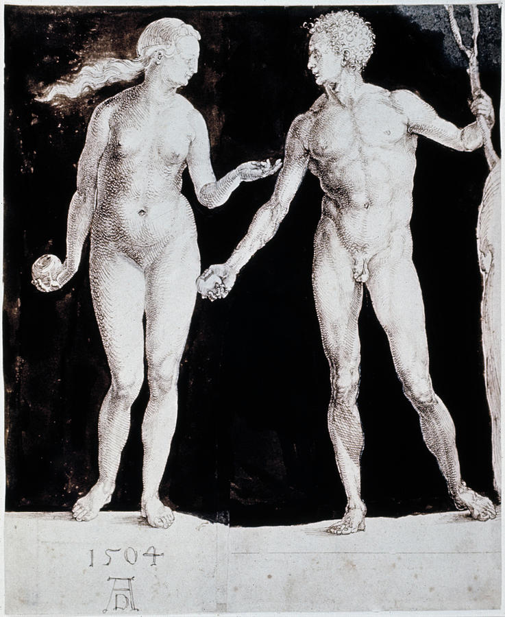 Albrecht Durer Adam & Eve Drawing by Granger