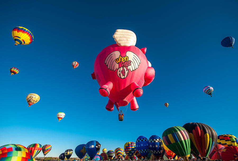 Albuquerque Balloon Fiesta 13 Photograph by Lou  Novick
