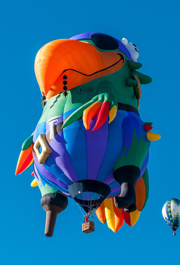 Albuquerque Balloon Fiesta 9 Photograph by Lou  Novick