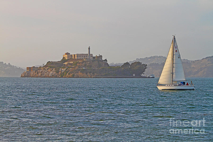 San Francisco Photograph - Alcatraz Island by Jack Schultz