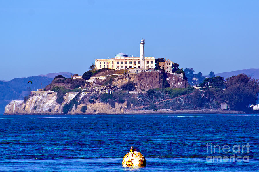 Alcatraz Island Digital Art by Pravine Chester