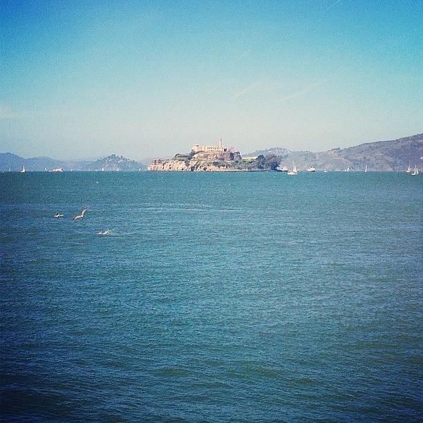 Landscape Photograph - #alcatraz #island #sanfrancisco by Robyn Chell