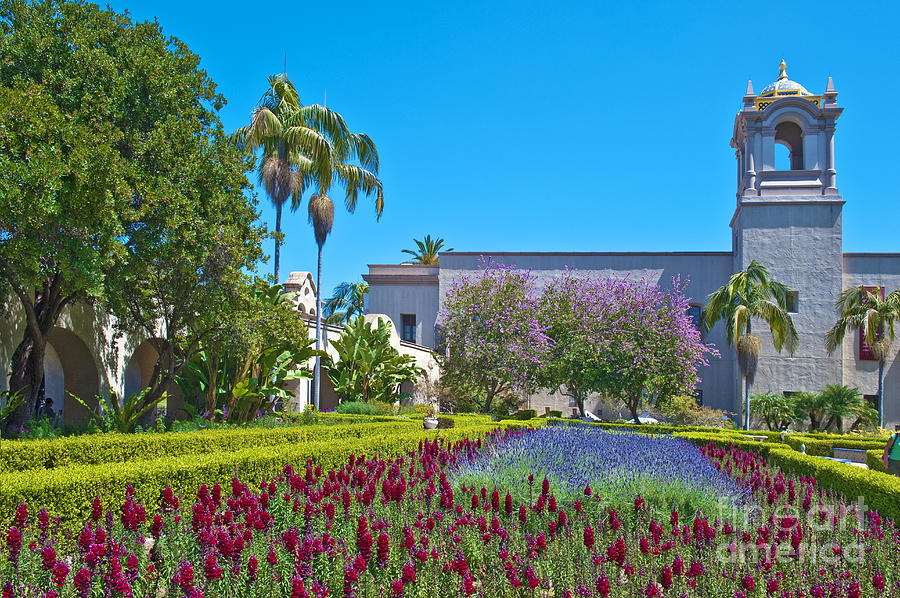 Alcazar Garden Balboa Park San Diego Ca 3 Photograph by David Zanzinger