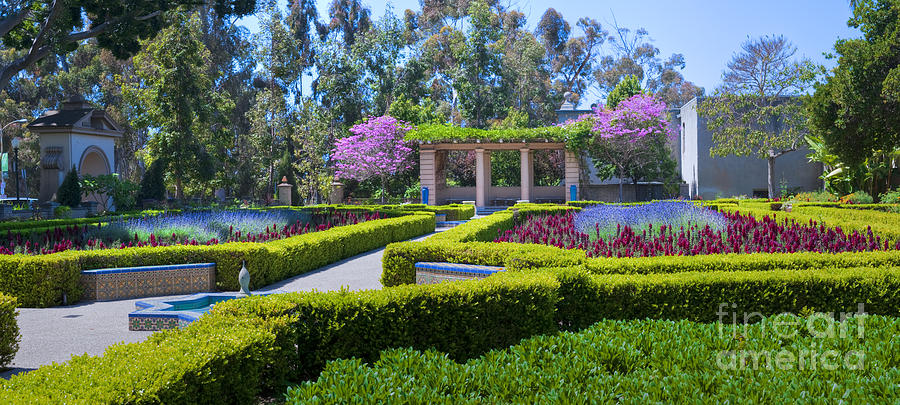 Alcazar Garden vibrant color display Balboa Park Photograph by David Zanzinger
