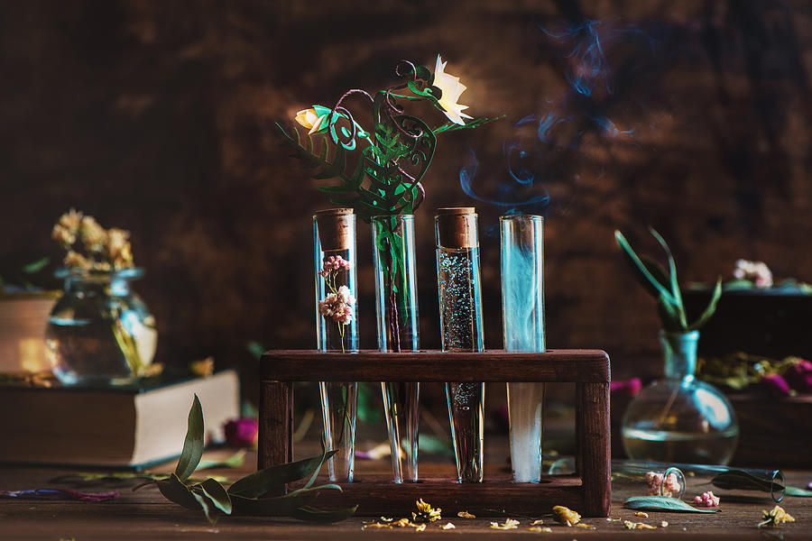 Alchemical flower Photograph by Dina Belenko Photography