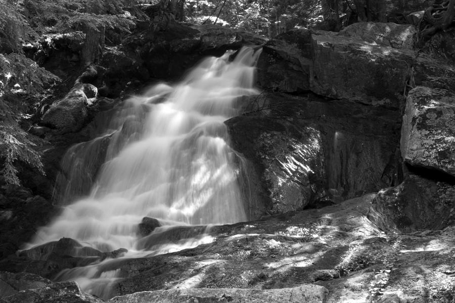 Alder Falls #2 Photograph by Paul Rebmann