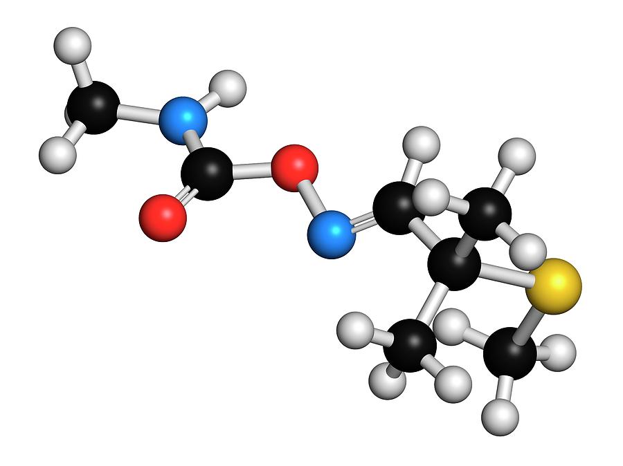 Aldicarb Pesticide Molecule Photograph by Molekuul/science Photo ...