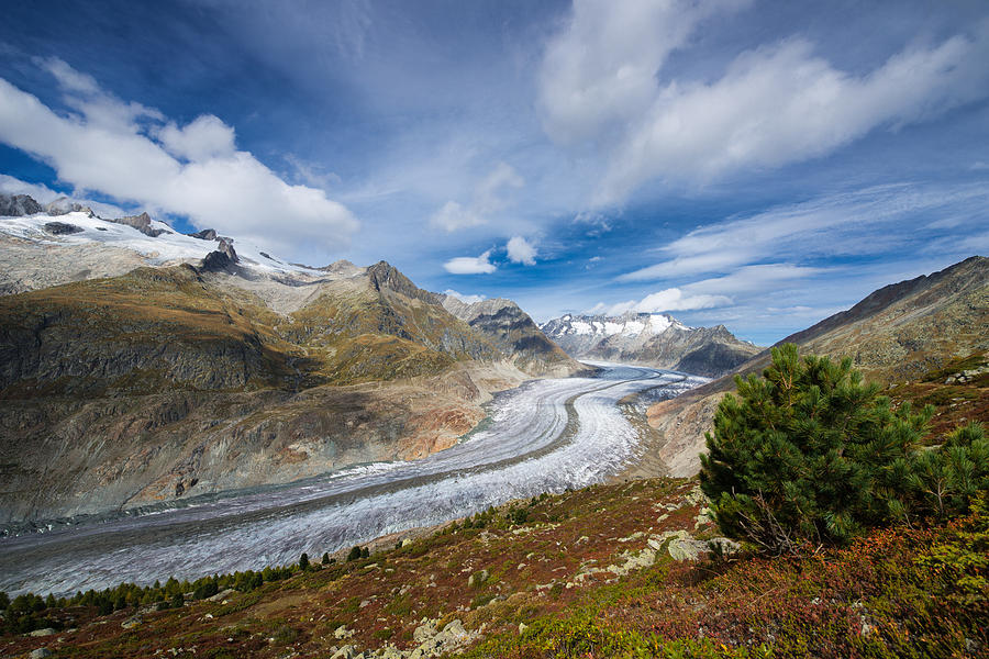 Aletsch Glacier Photograph by Matthias Hauser
