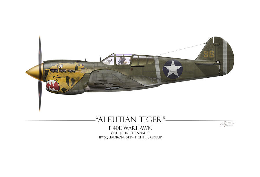 Hawk Painting - Aleutian Tiger P-40 Warhawk - White Background by Craig Tinder