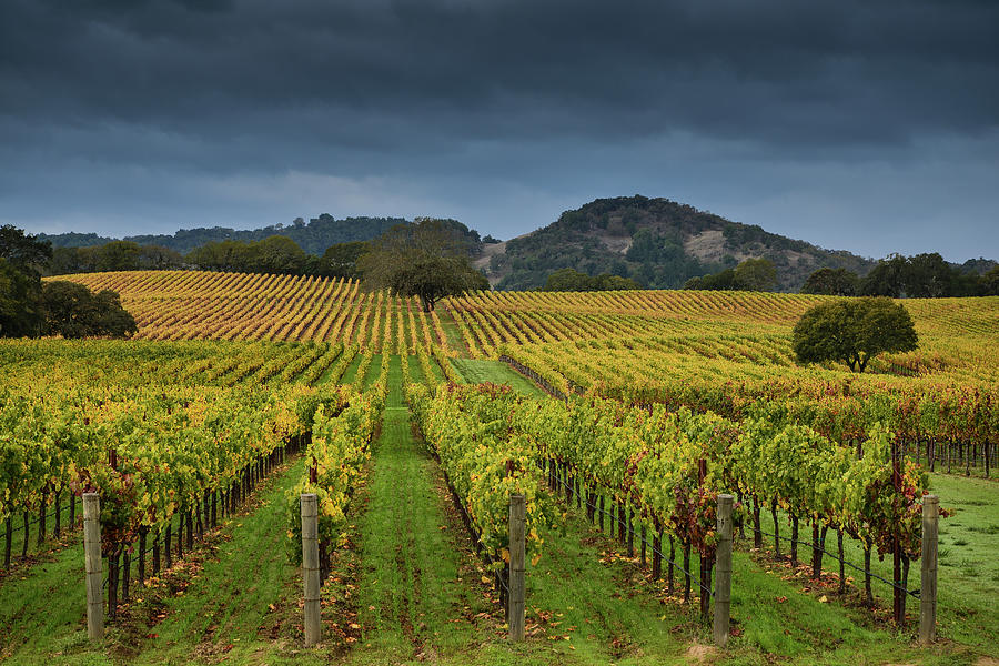 Alexander Valley Photograph by Rmb Images / Photography By Robert Bowman