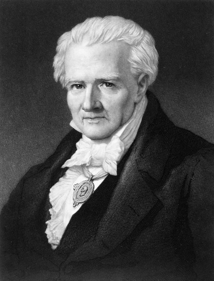 Alexander Von Humboldt (1769-1859) Painting by Granger