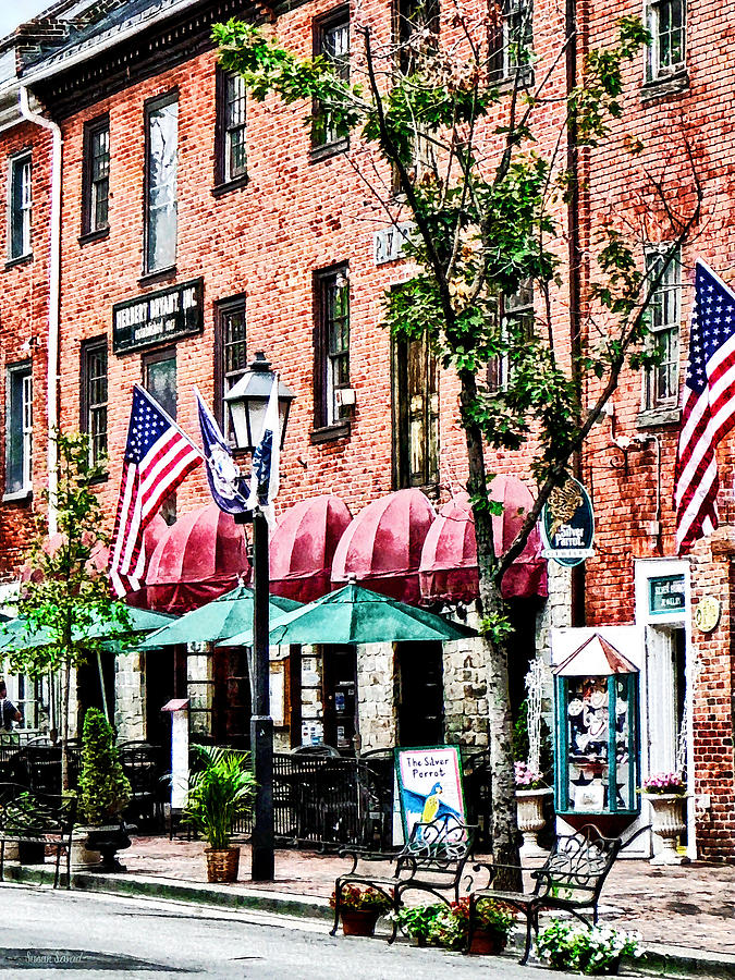 Flag Photograph - Alexandria Street With Cafe by Susan Savad