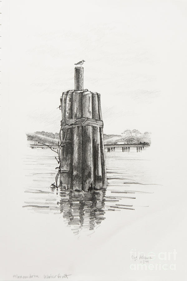 Alexandria Waterfront Drawing by Cheryl E Adams