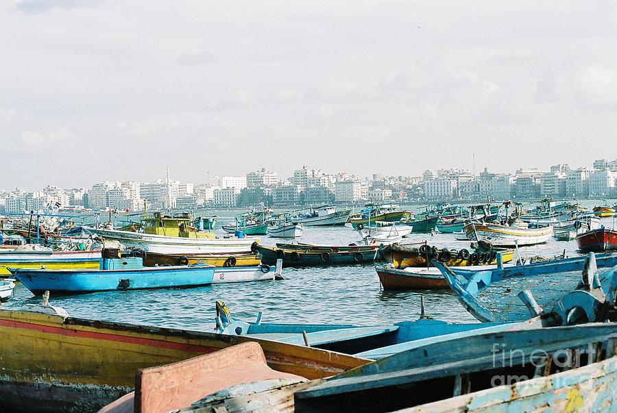 Alexandrian Harbour Photograph by Cassandra Buckley
