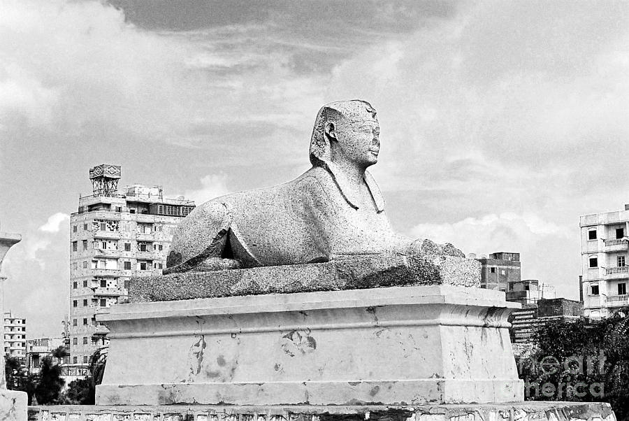 Alexandrian Sphinx Photograph by Cassandra Buckley