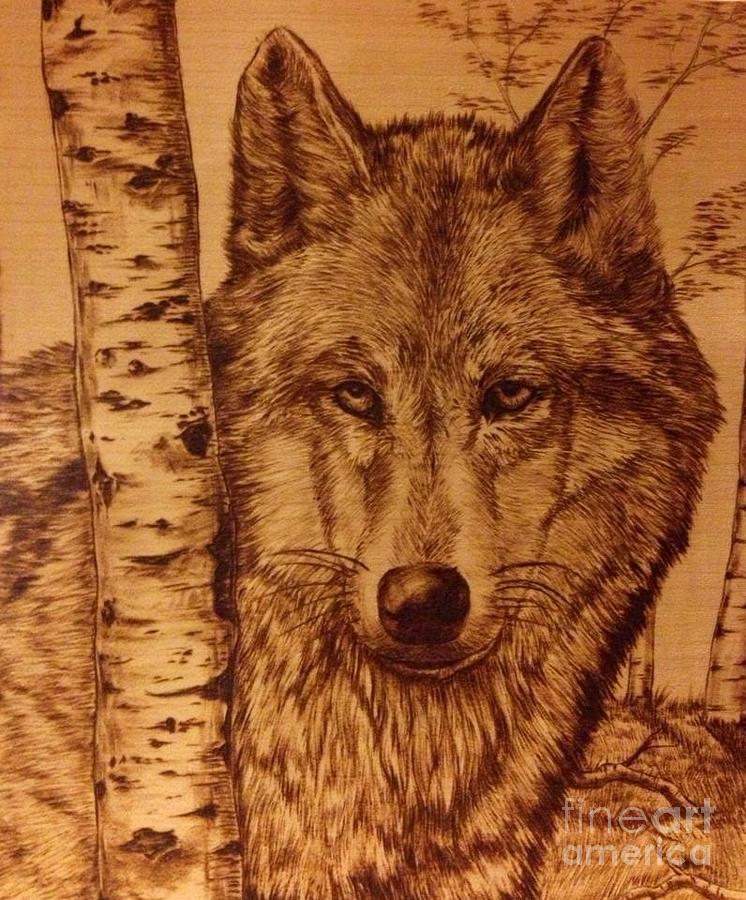 Alfa Male Pyrography by Adin Begic - Fine Art America