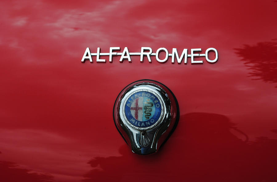 Alfa Romeo Photograph by Glory Ann Penington