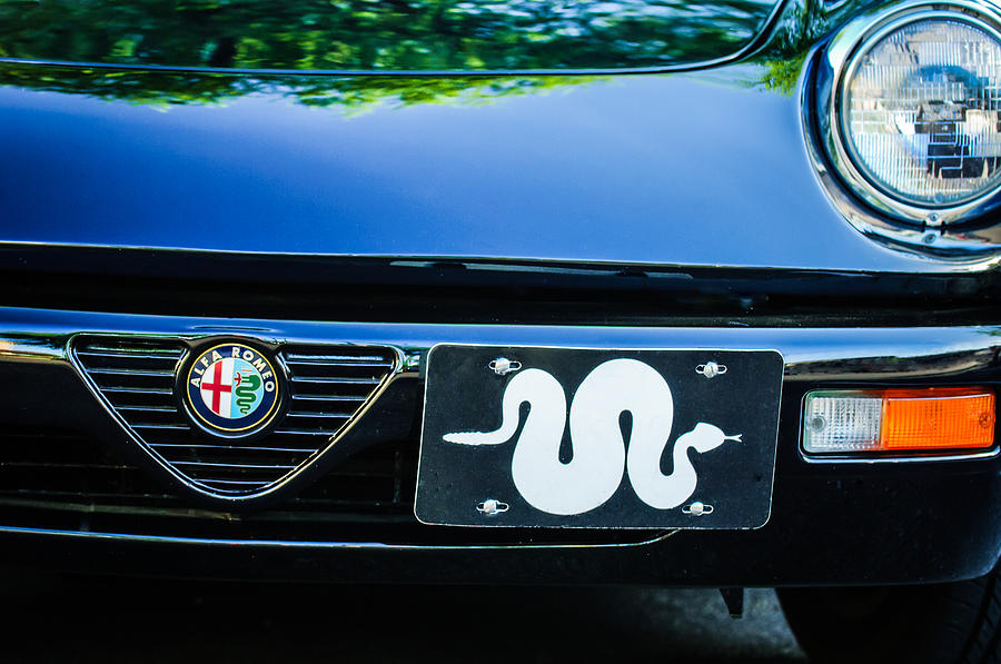 Alfa Romeo Grille Emblem -0287c Photograph by Jill Reger