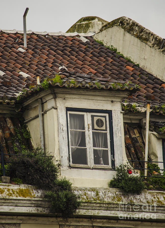 Alfama Rooftop Window Photograph by Deborah Smolinske - Fine Art America