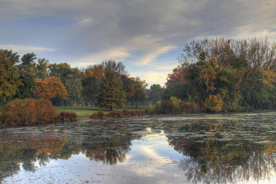 Grand Rapids Photograph - Algae on the Pond by Richard Gregurich