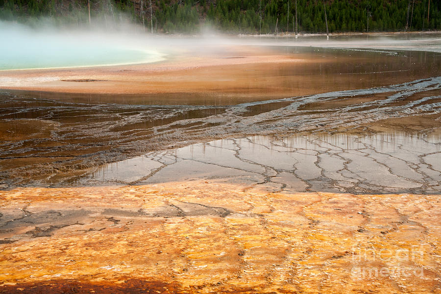 Algae Patterns at the Grand Prismatic Spring at Midway Geyser Basin Photograph by Fred Stearns
