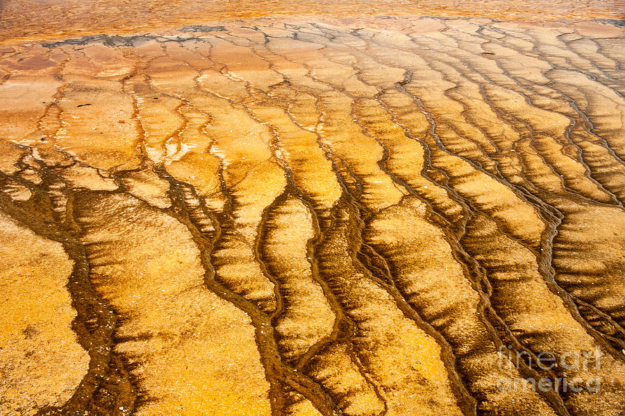 Algae Patterns at the Grand Prismatic Spring in Midway Geyser Basin Photograph by Fred Stearns