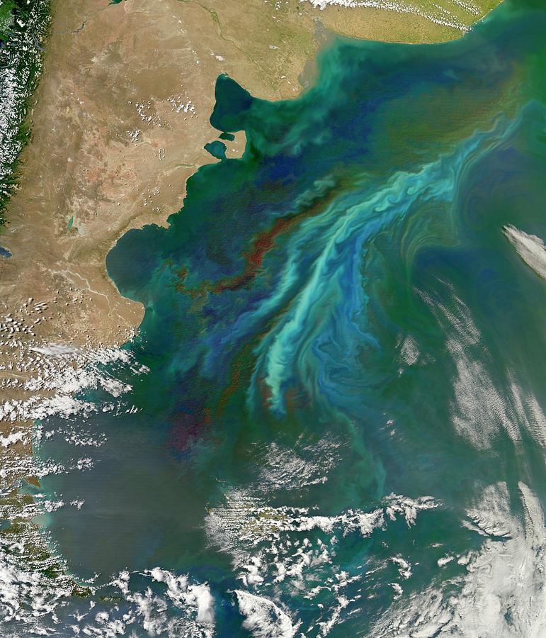 Algal Bloom Off Argentinian Coast Photograph by Nasa/science Photo Library