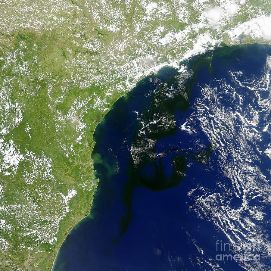 Algal Bloom Off Brazil Coast Photograph by Science Source