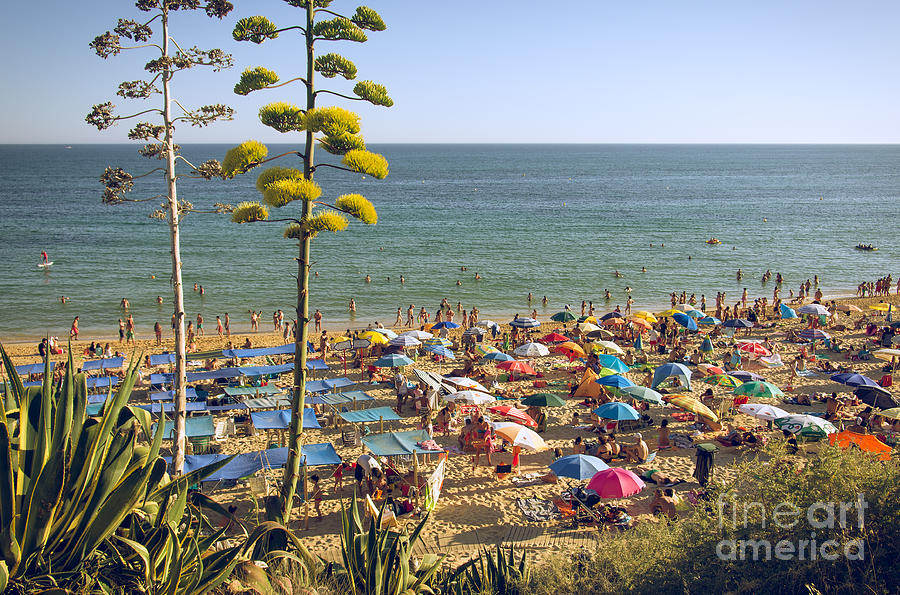Summer Photograph - Algarve Beach by Carlos Caetano