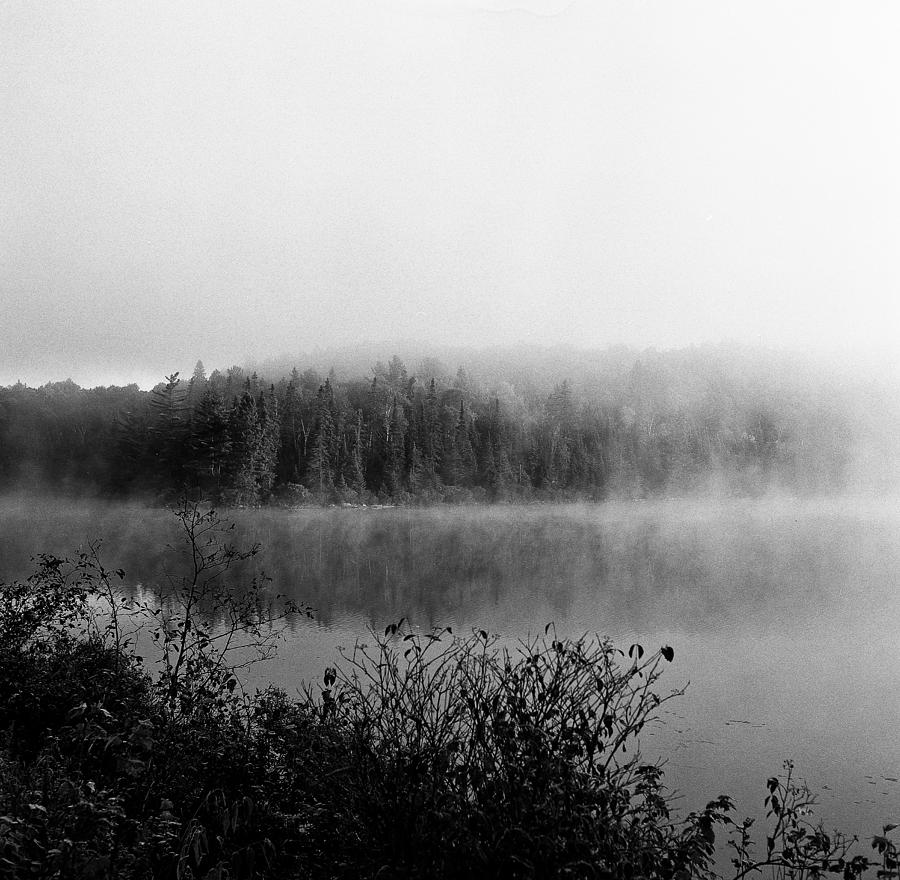 Black And White Photograph - Algonquin Mist by Mark Highfield