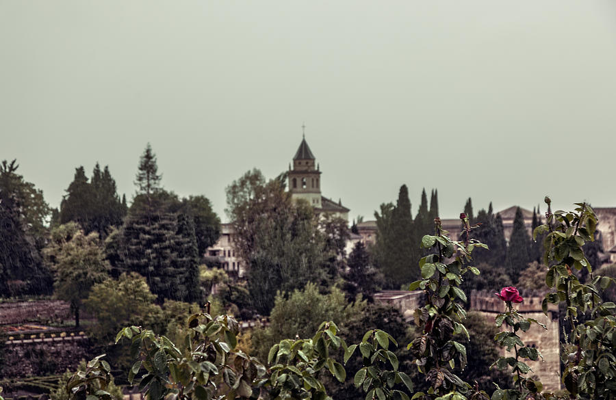 Alhambra In The Rain - Spain Photograph by Madeline Ellis