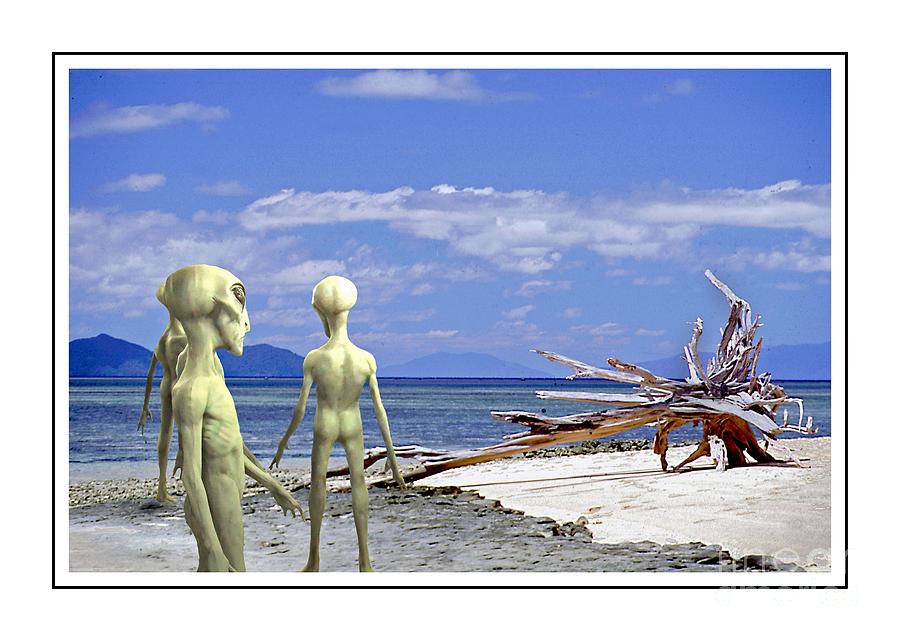 Alien - 12 Photograph by Larry Mulvehill