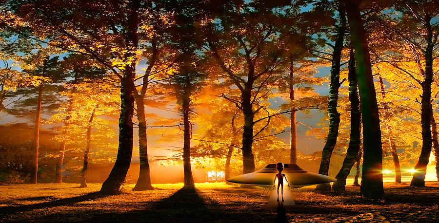 Fantasy Photograph - Alien And Ufo In The Forest by Panoramic Images