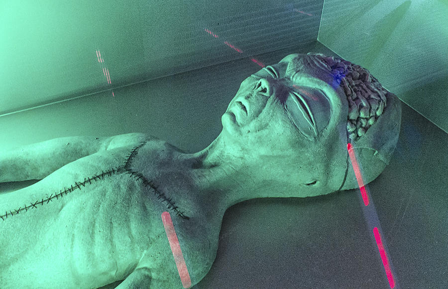 Alien Autopsy Photograph by Gary Warnimont