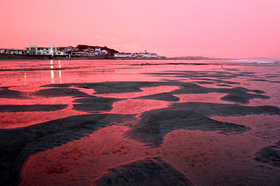 Alien Beach Photograph By Patricia Abbate - Fine Art America