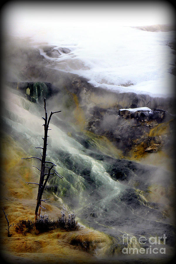 Alien Planet Photograph by C Ray Roth - Fine Art America