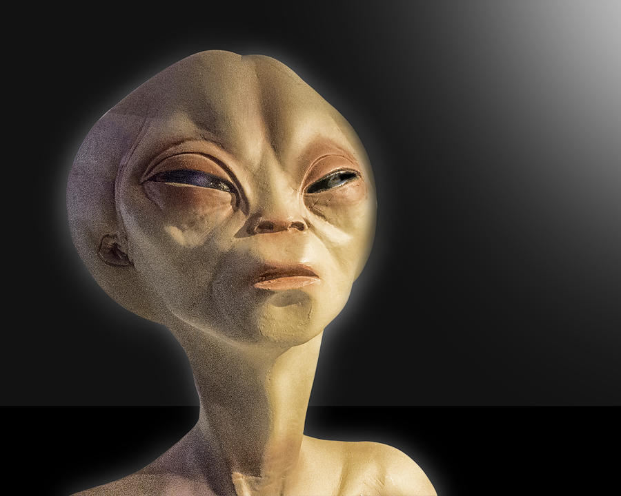 Alien Yearbook Photo Photograph by Gary Warnimont