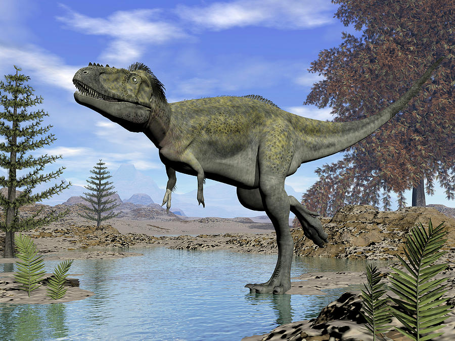 Alioramus Dinosaur Walking In A Stream Photograph by Elena Duvernay ...