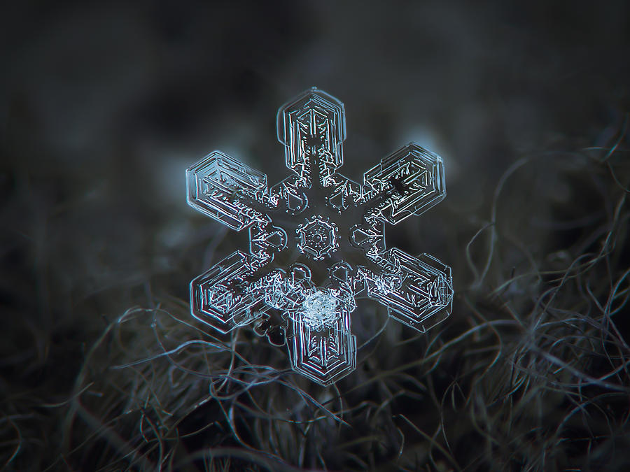 Winter Photograph - Snowflake photo - Alioth by Alexey Kljatov