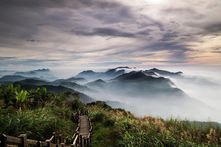 Alishan National Scenic Area Photograph by Taipei, Taiwan  By  Balmung