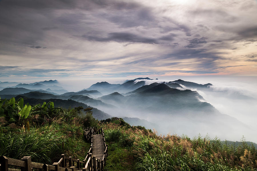 alishan national scenic area