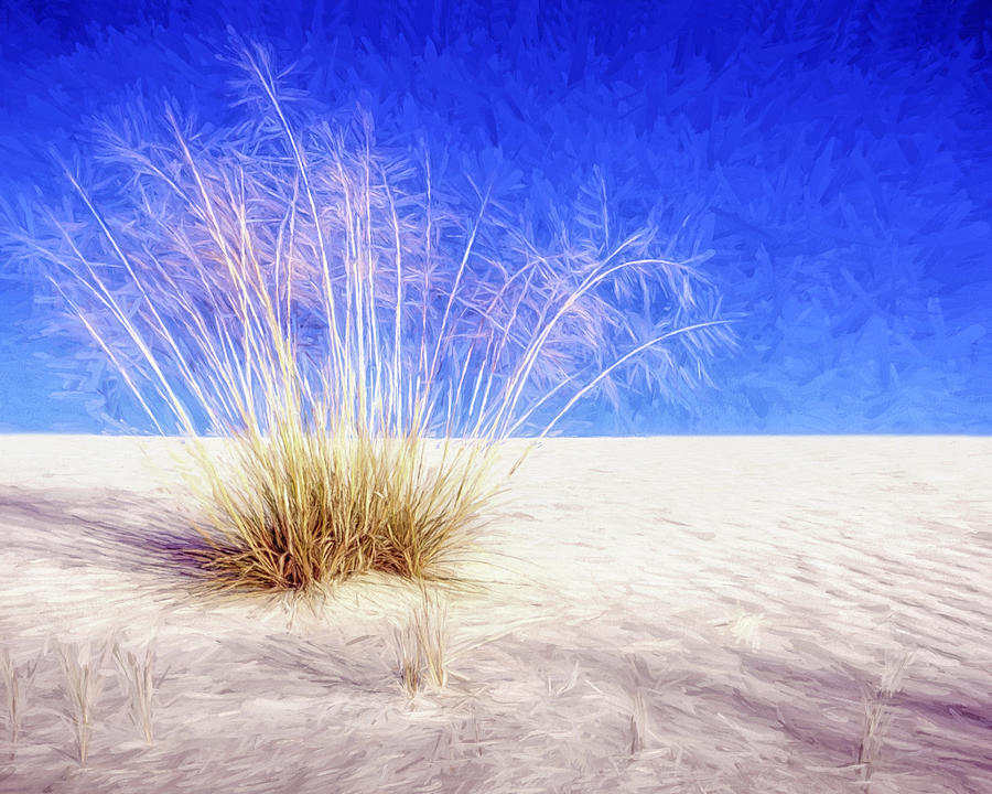Alkali Sacaton - Desert Grass - White Sands Photograph by Nikolyn McDonald