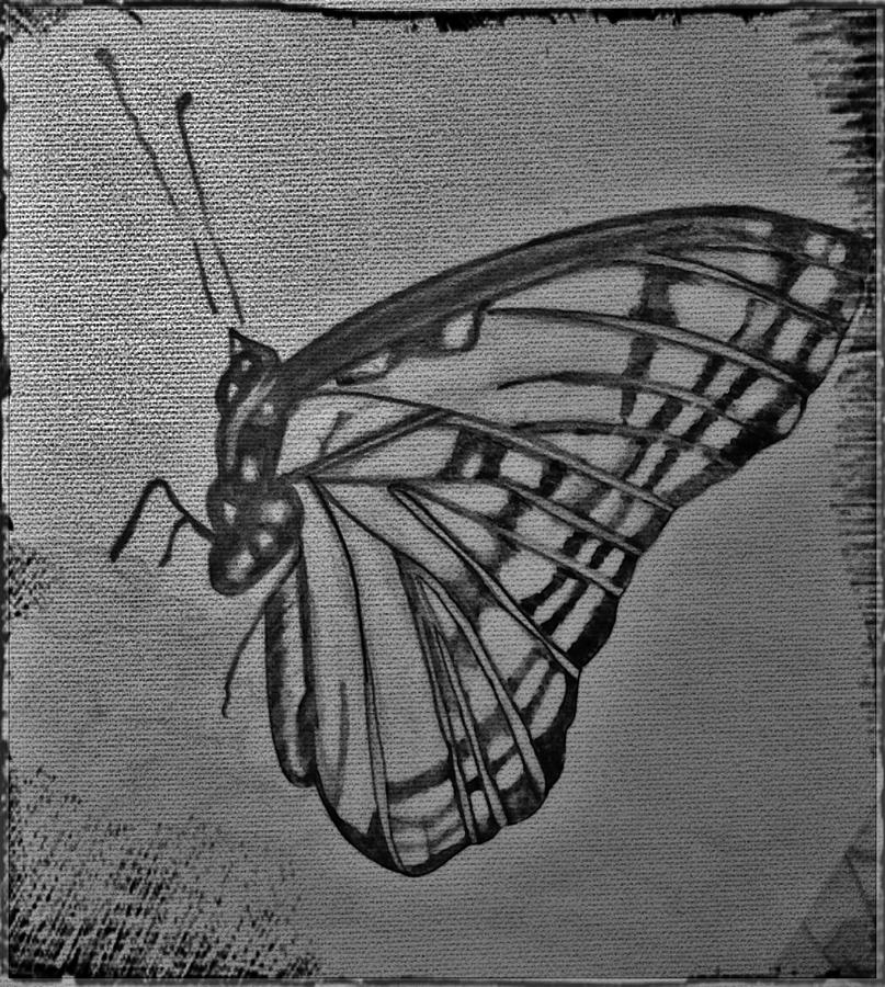 All A-Flutter Drawing by Jo Roberts | Fine Art America