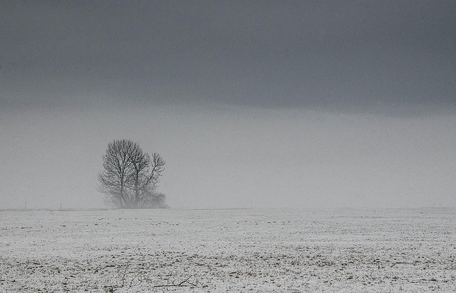 Winter Photograph - All Alone by Jim Southwell