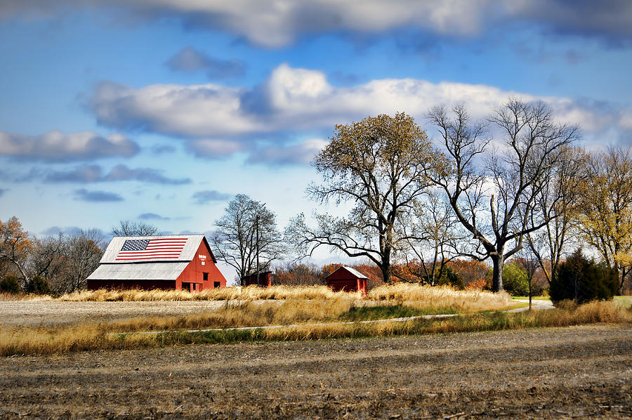 All-American Farm Photograph by Cricket Hackmann