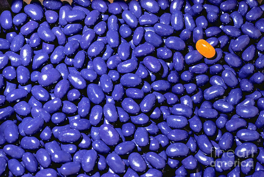 All Blue Jelly beans one yellow Photograph by David Zanzinger