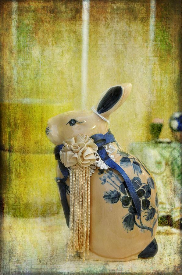Still Life Photograph - All Dressed Up by Jan Amiss Photography