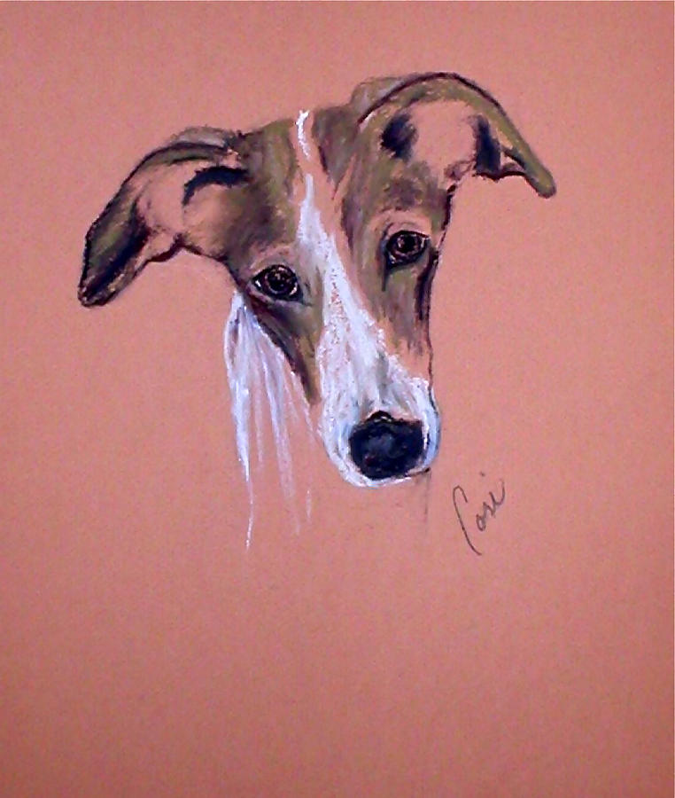 Dog Drawing - All Ears by Cori Solomon