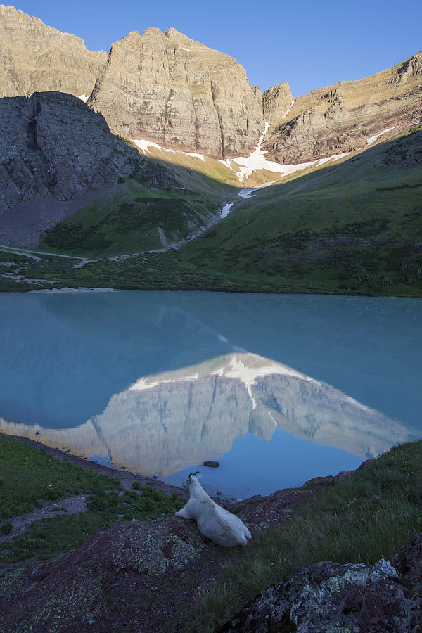 Glacier National Park Photograph - All He Surveys by Ross Murphy