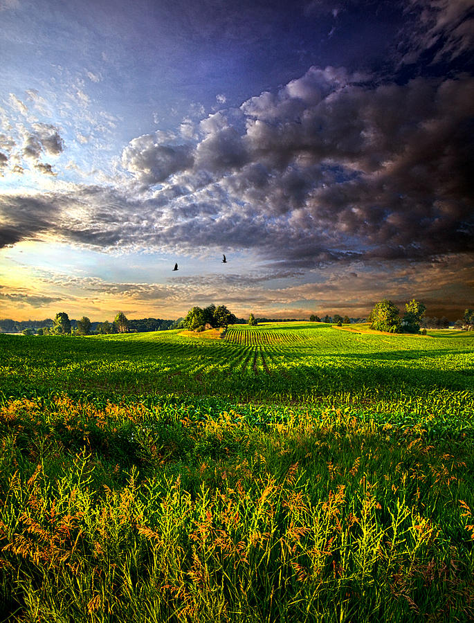 Landscape Photograph - All I Need by Phil Koch